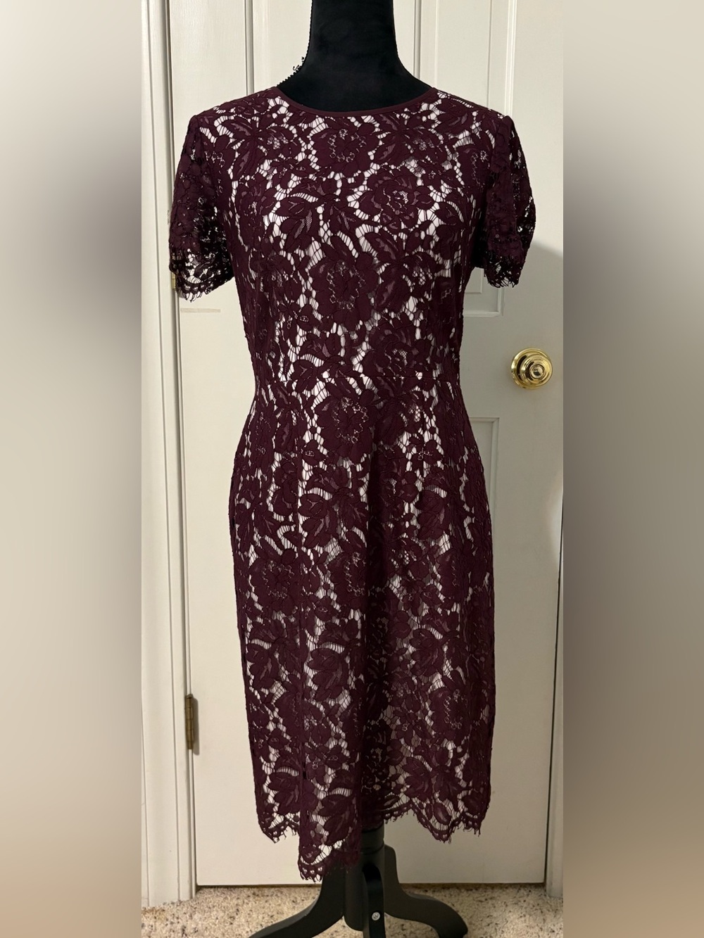 VINCE CAMUTO Elegant Burgundy Lace Short-Sleeve Dress